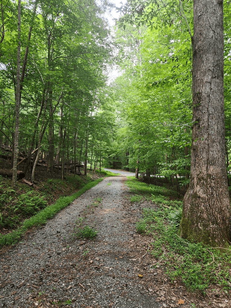 Lot 133 Shiloh Court, Ellijay GA 30540 - Photo