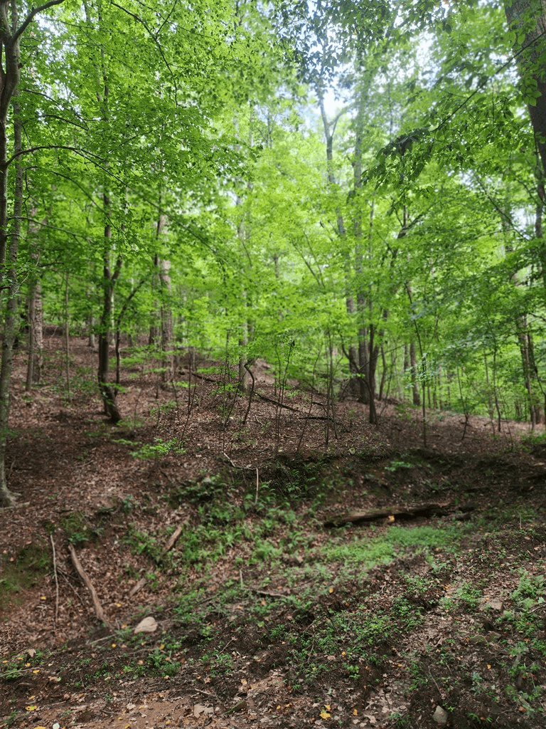 Lot 133 Shiloh Court, Ellijay GA 30540 - Photo