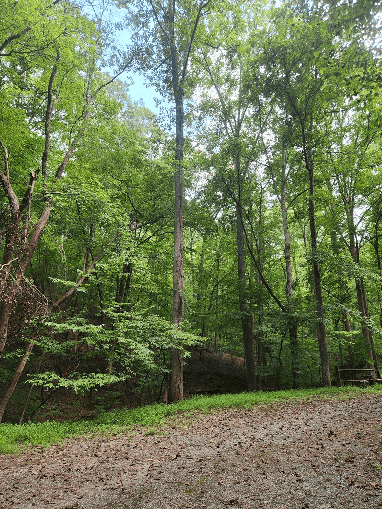 Lot 133 Shiloh Court, Ellijay GA 30540 - Photo