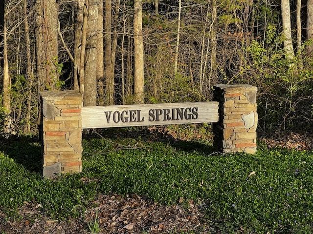 100 Reddick Drive, Blairsville GA 30512 - Photo