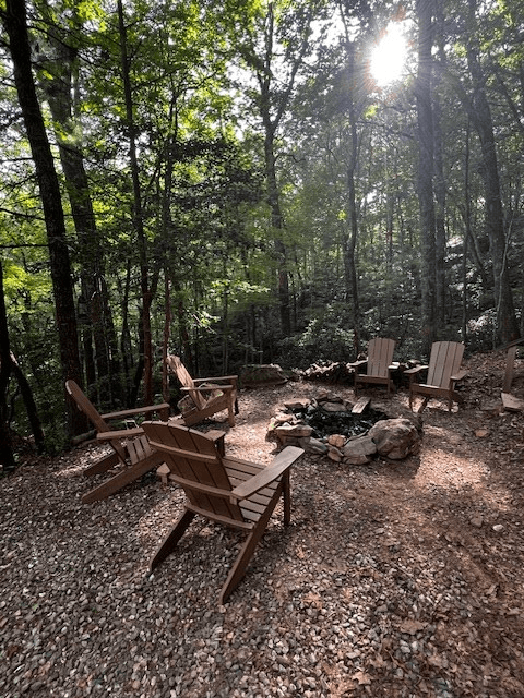 100 Reddick Drive, Blairsville GA 30512 - Photo