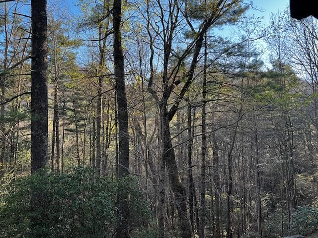 100 Reddick Drive, Blairsville GA 30512 - Photo