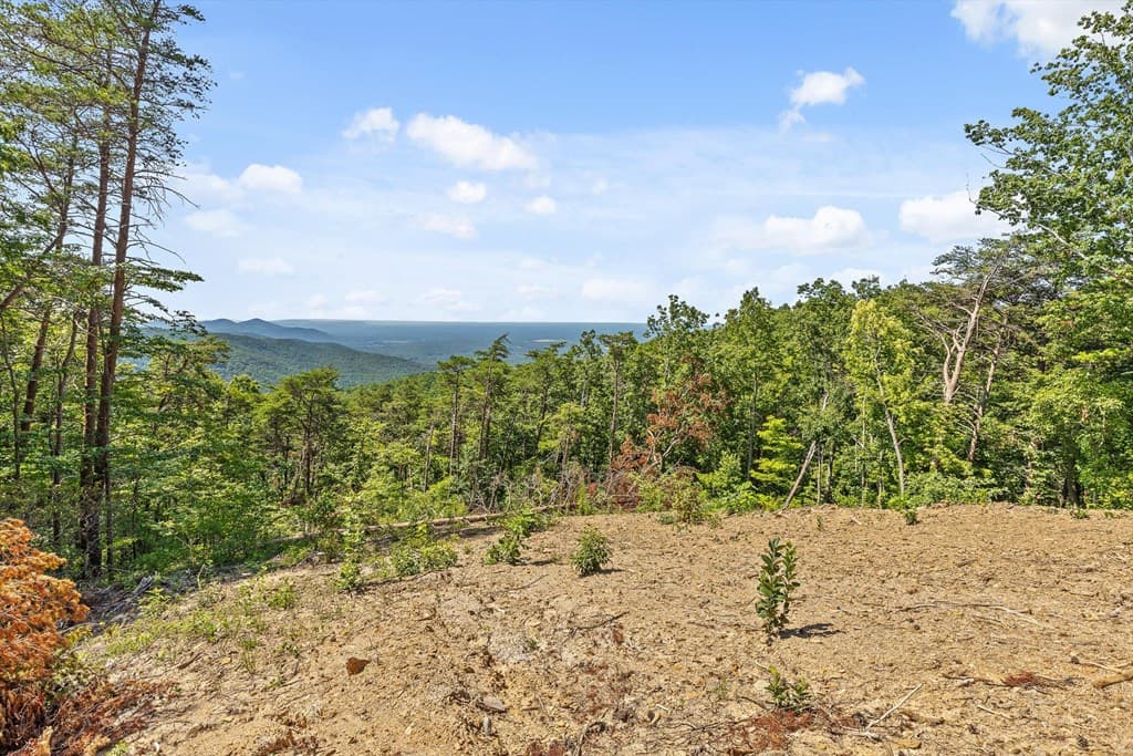 4404 Hwy 52, Chatsworth GA 30705 - Photo