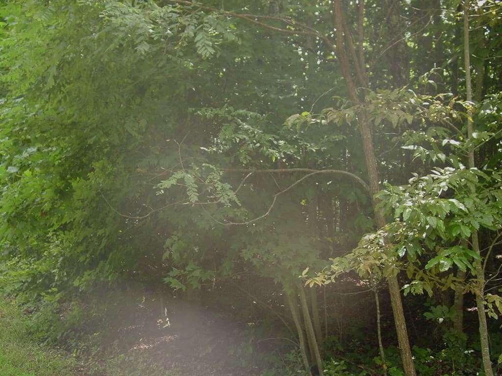 #13 Dan Knob, Hayesville NC 28904 - Photo