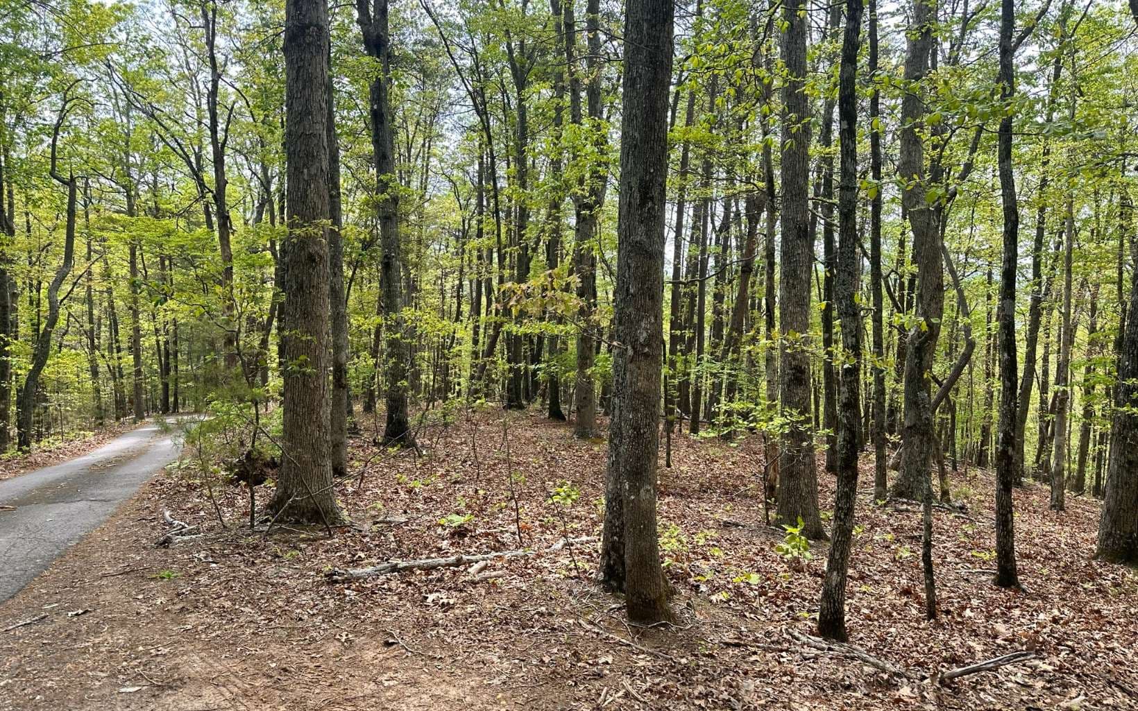 1 Thomas Town Road, Young Harris GA 30582 - Photo