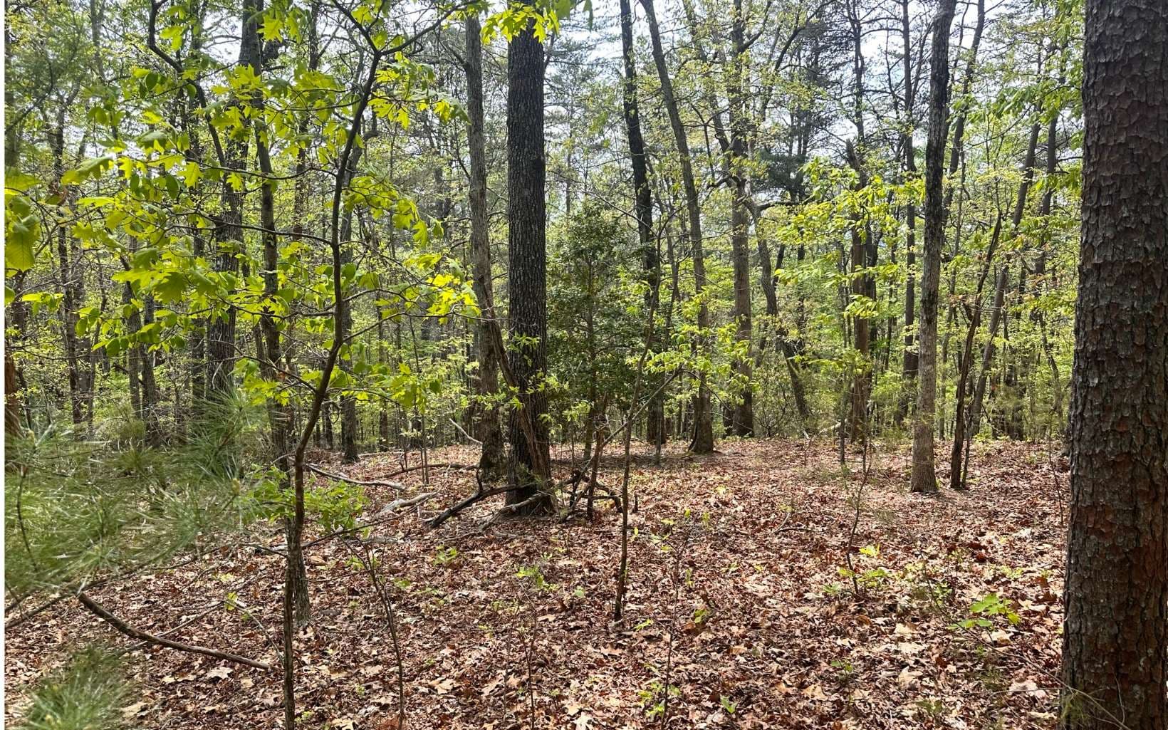 1 Thomas Town Road, Young Harris GA 30582 - Photo