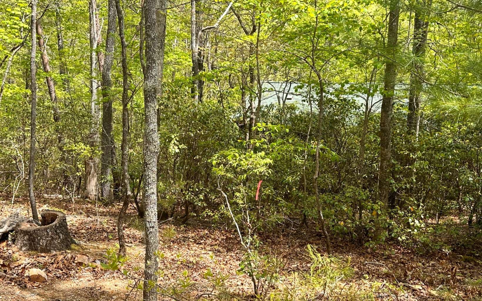 1 Thomas Town Road, Young Harris GA 30582 - Photo