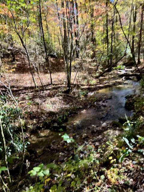 1 Thomas Town Road, Young Harris GA 30582 - Photo