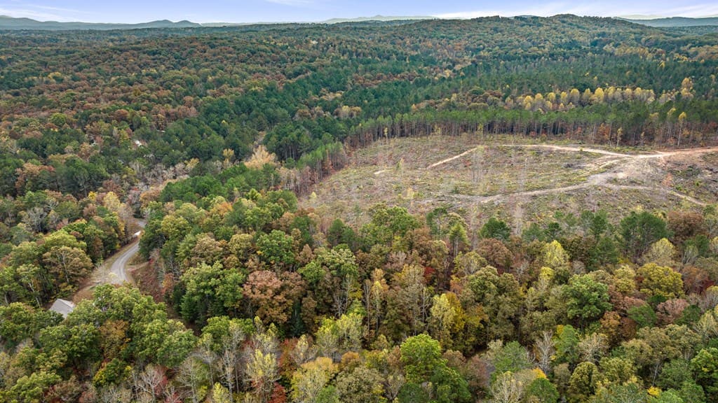 LOT 49 Lower Creek Trail, Ellijay GA 30540 - Photo