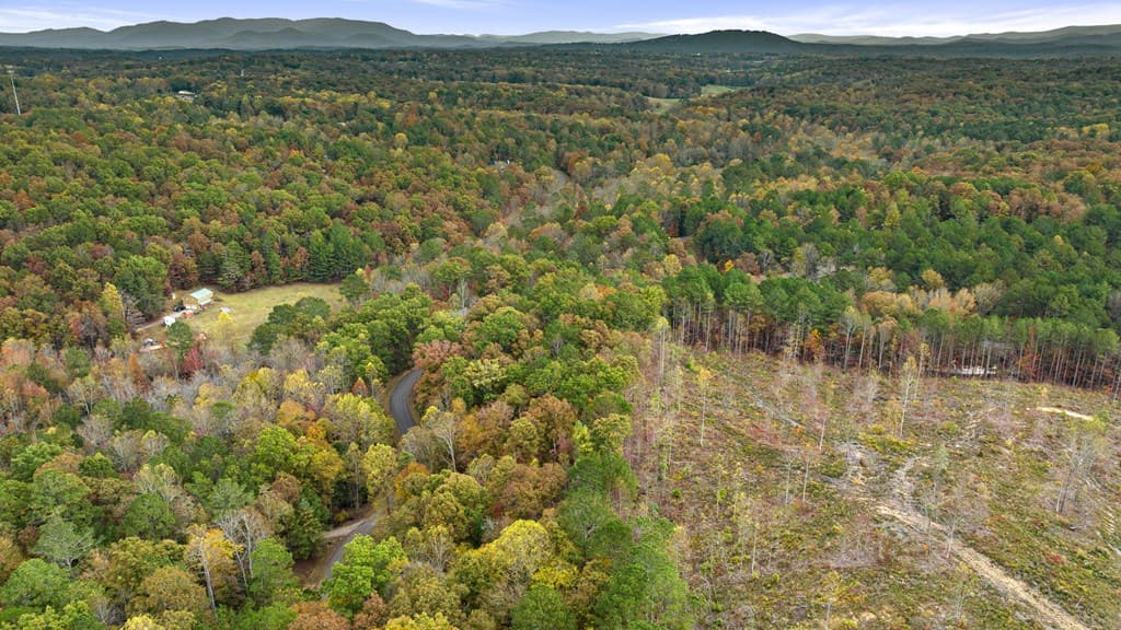 LOT 49 Lower Creek Trail, Ellijay GA 30540 - Photo