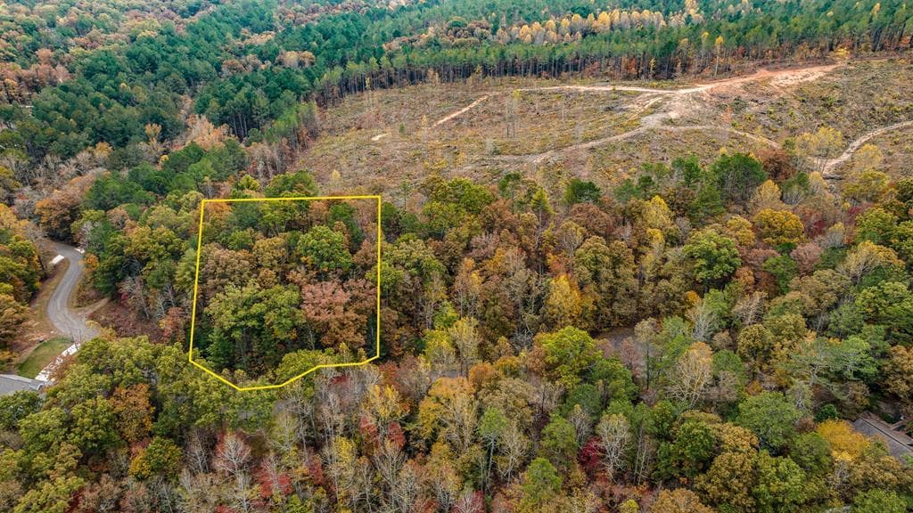 LOT 49 Lower Creek Trail, Ellijay GA 30540 - Primary photo