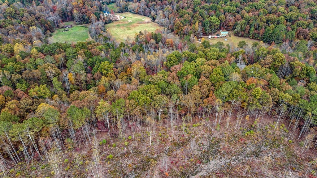 LOT 49 Lower Creek Trail, Ellijay GA 30540 - Photo