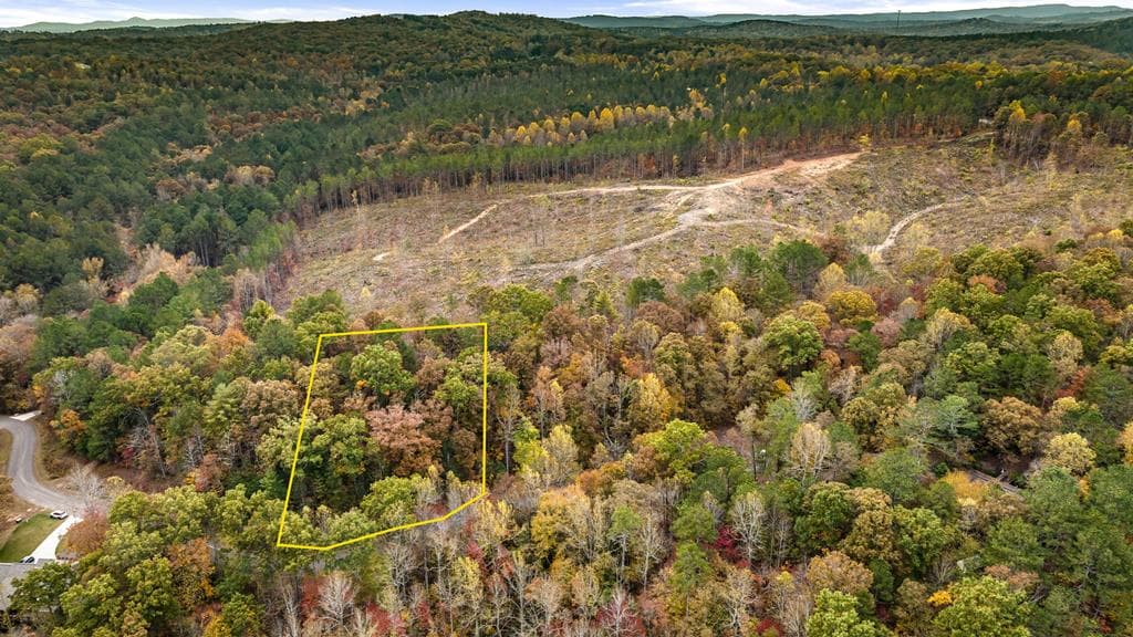 LOT 49 Lower Creek Trail, Ellijay GA 30540 - Photo