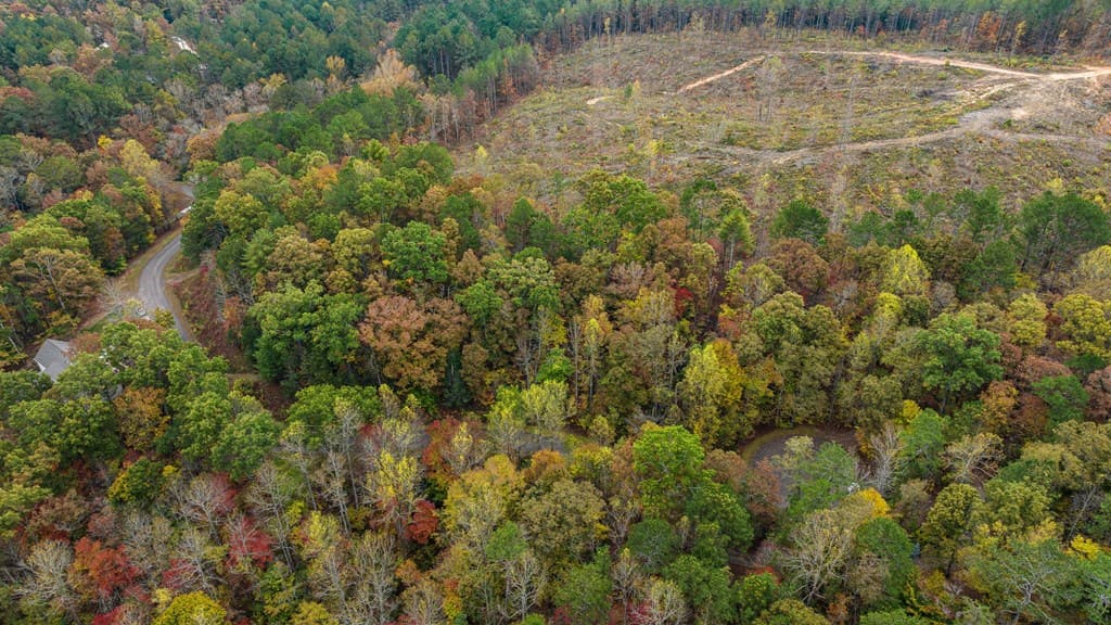 LOT 49 Lower Creek Trail, Ellijay GA 30540 - Photo