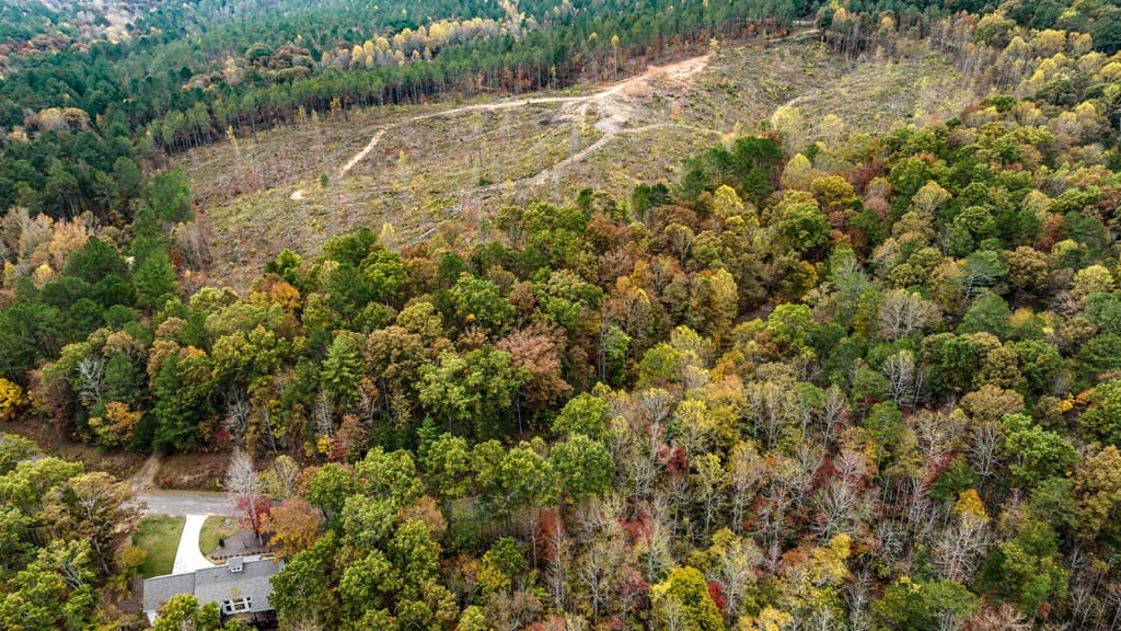LOT 49 Lower Creek Trail, Ellijay GA 30540 - Photo