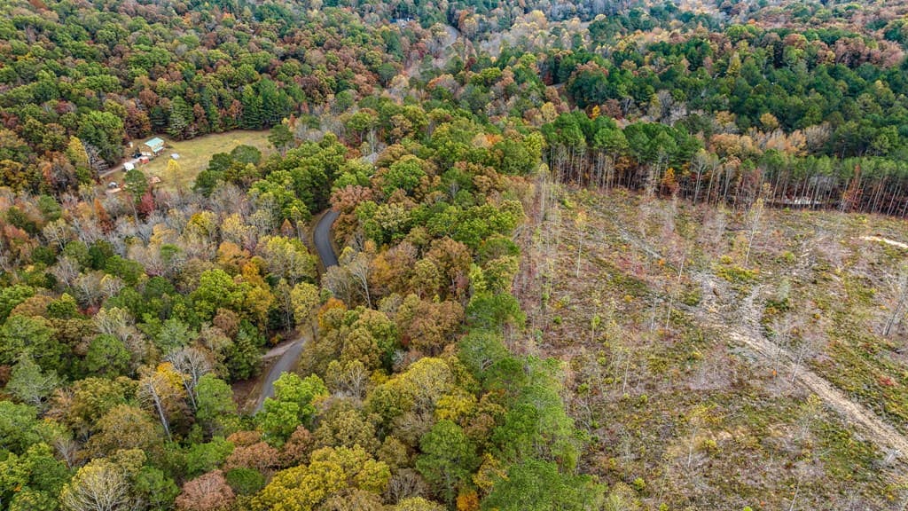 LOT 48 Lower Creek Trail, Ellijay GA 30540 - Photo