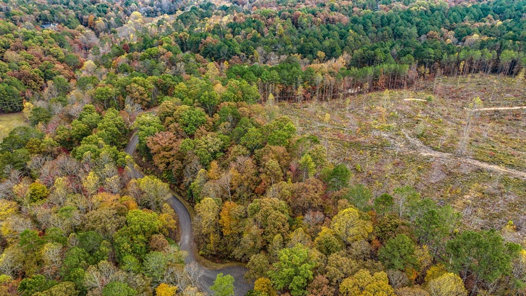 LOT 48 Lower Creek Trail, Ellijay GA 30540 - Photo