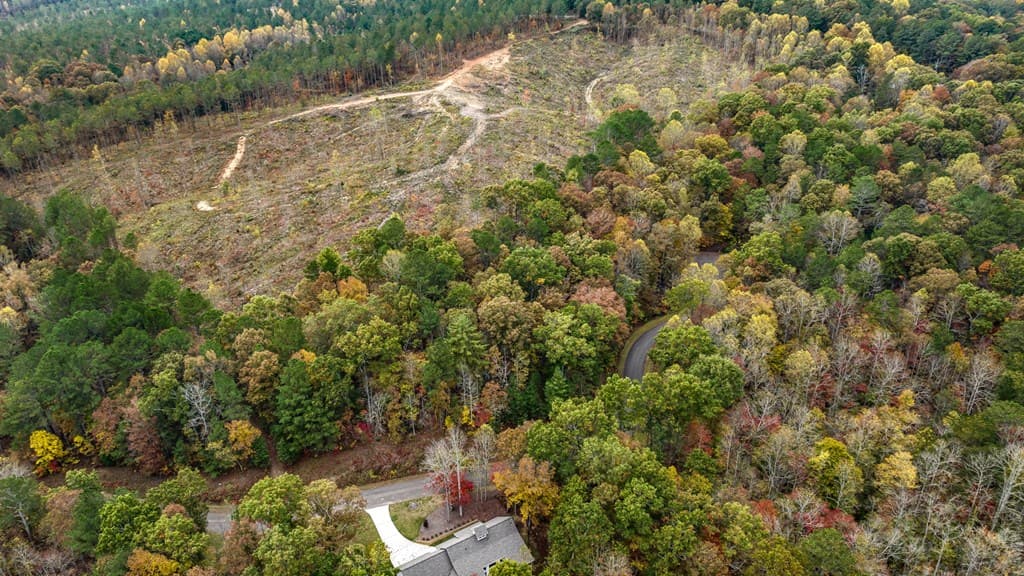 LOT 48 Lower Creek Trail, Ellijay GA 30540 - Photo