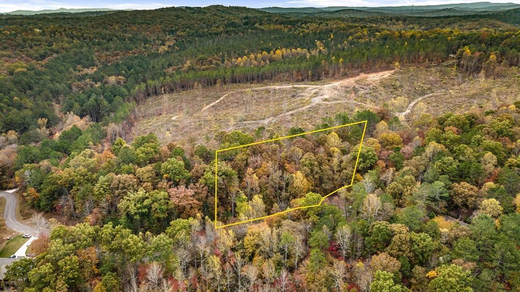 LOT 48 Lower Creek Trail, Ellijay GA 30540 - Primary photo
