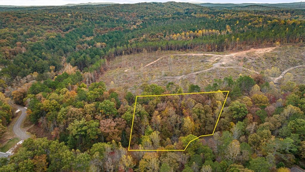 LOT 48 Lower Creek Trail, Ellijay GA 30540 - Photo