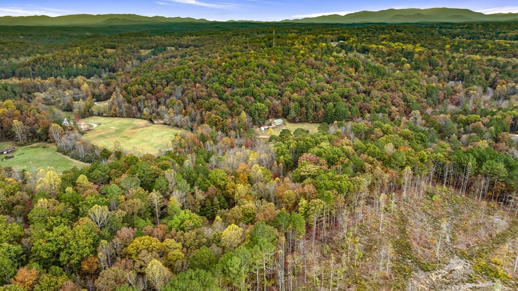 LOT 48 Lower Creek Trail, Ellijay GA 30540 - Photo
