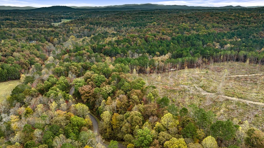 LOT 48 Lower Creek Trail, Ellijay GA 30540 - Photo