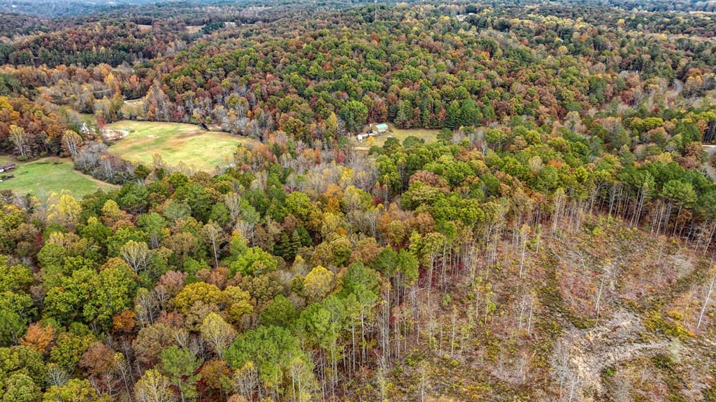 LOT 48 Lower Creek Trail, Ellijay GA 30540 - Photo