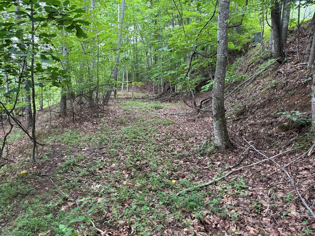 Lot 55 Eagles View, Hayesville NC 28904 - Photo