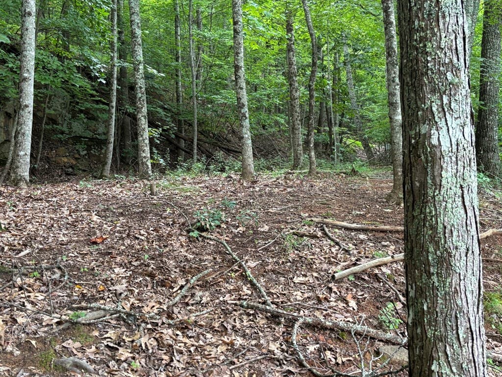 Lot 55 Eagles View, Hayesville NC 28904 - Photo