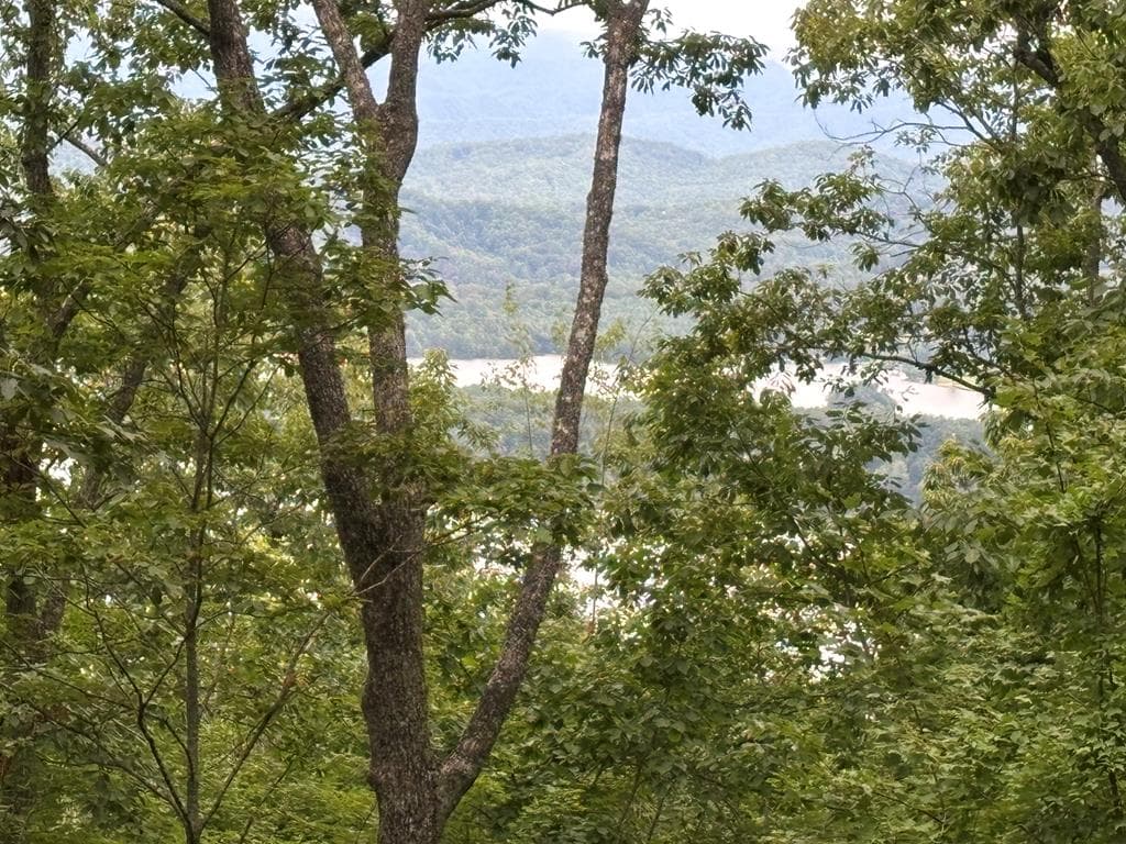 Lot 55 Eagles View, Hayesville NC 28904 - Primary photo