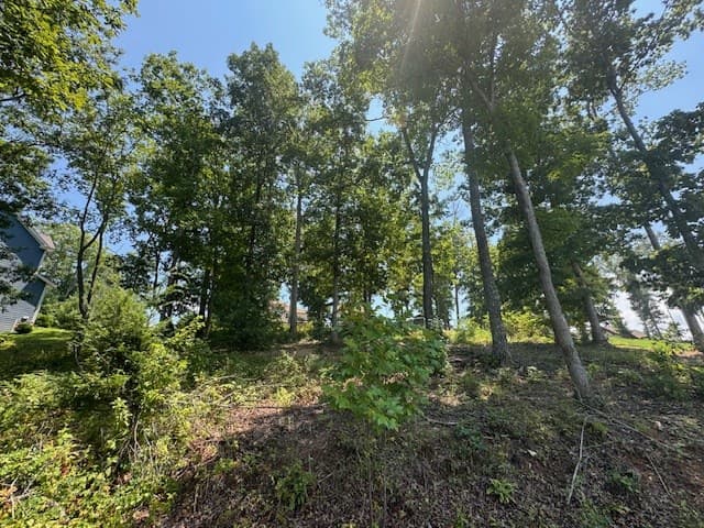 Lot 5 Hunter Lane, Blairsville GA 30512 - Photo