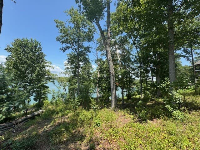 Lot 5 Hunter Lane, Blairsville GA 30512 - Photo