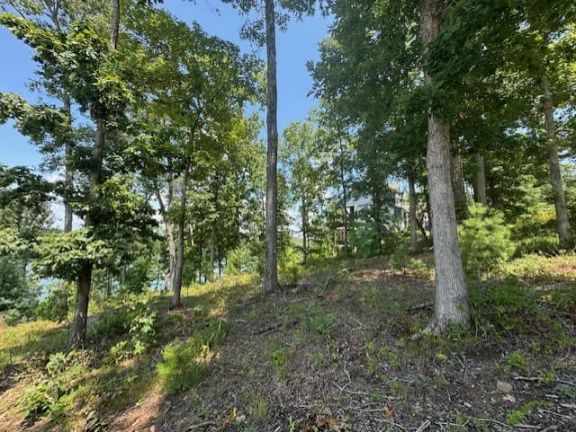 Lot 5 Hunter Lane, Blairsville GA 30512 - Photo