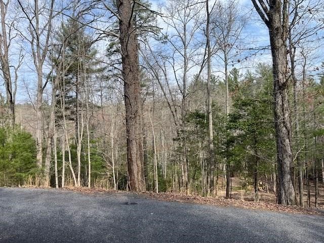 Lot 10 Lower Fox Trail Road, Blairsville GA 30512 - Photo