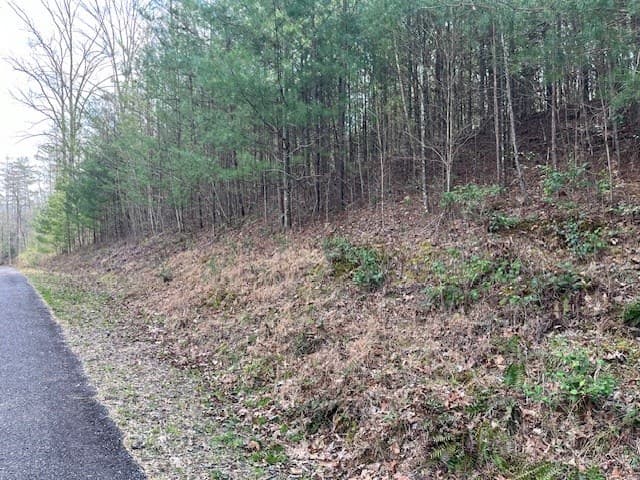Lot 10 Lower Fox Trail Road, Blairsville GA 30512 - Photo