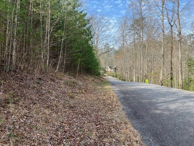 Lot 10 Lower Fox Trail Road, Blairsville GA 30512 - Photo