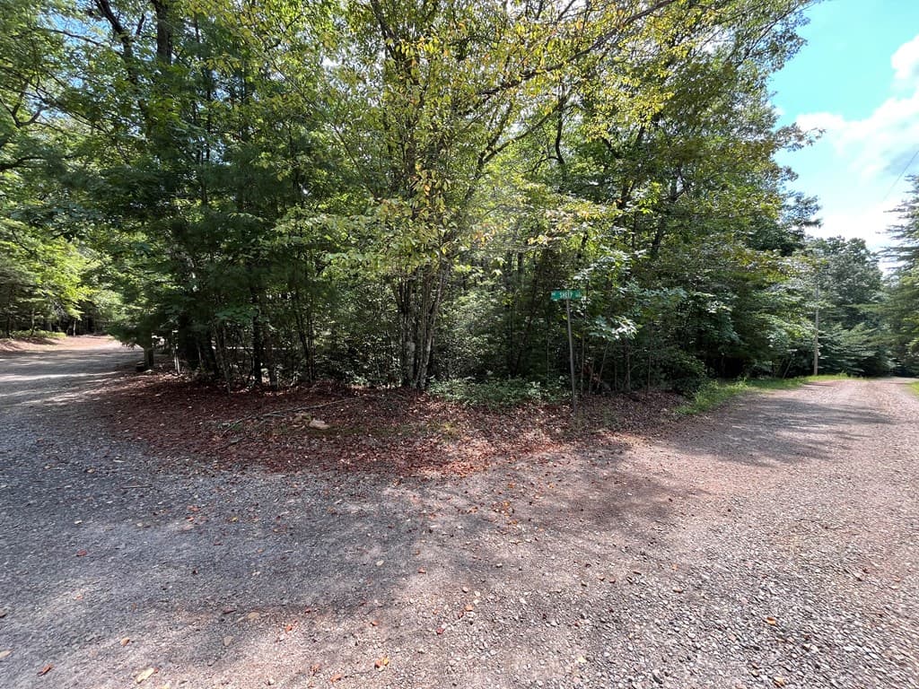 TBD Sheep Knob, Brasstown NC 28906 - Photo