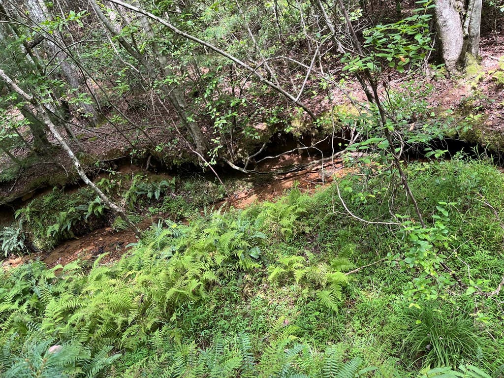 TBD Sheep Knob, Brasstown NC 28906 - Photo