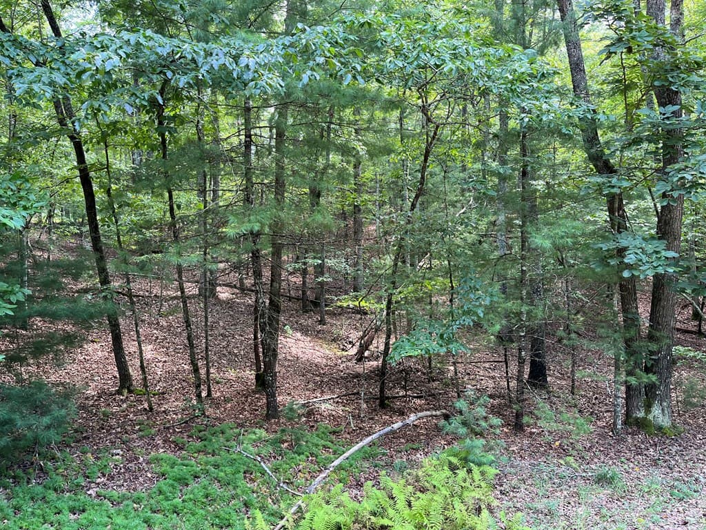 TBD Sheep Knob, Brasstown NC 28906 - Photo