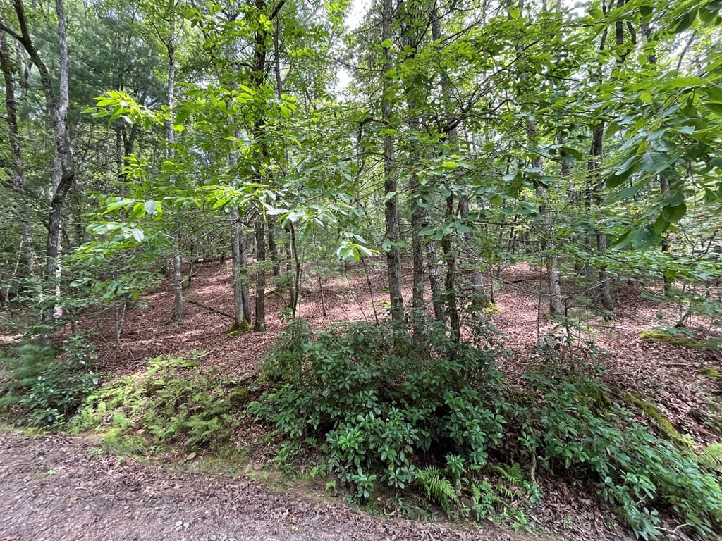 TBD Sheep Knob, Brasstown NC 28906 - Photo
