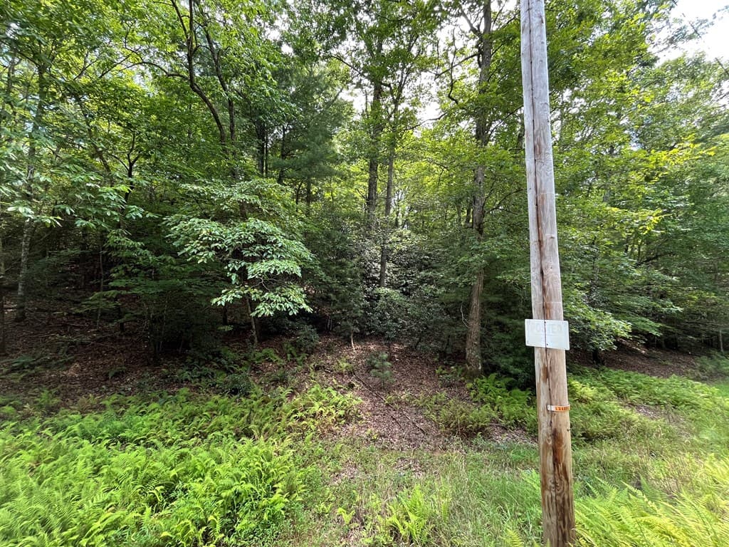 TBD Sheep Knob, Brasstown NC 28906 - Photo