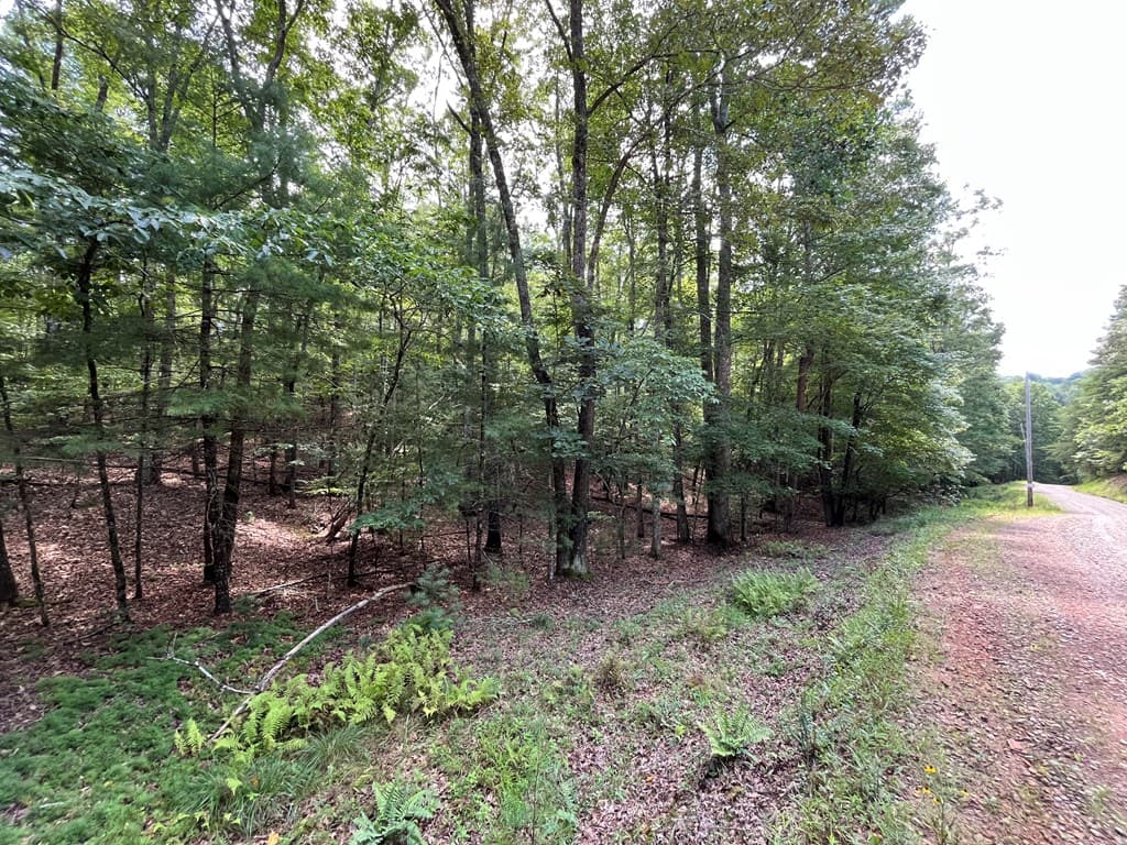TBD Sheep Knob, Brasstown NC 28906 - Photo