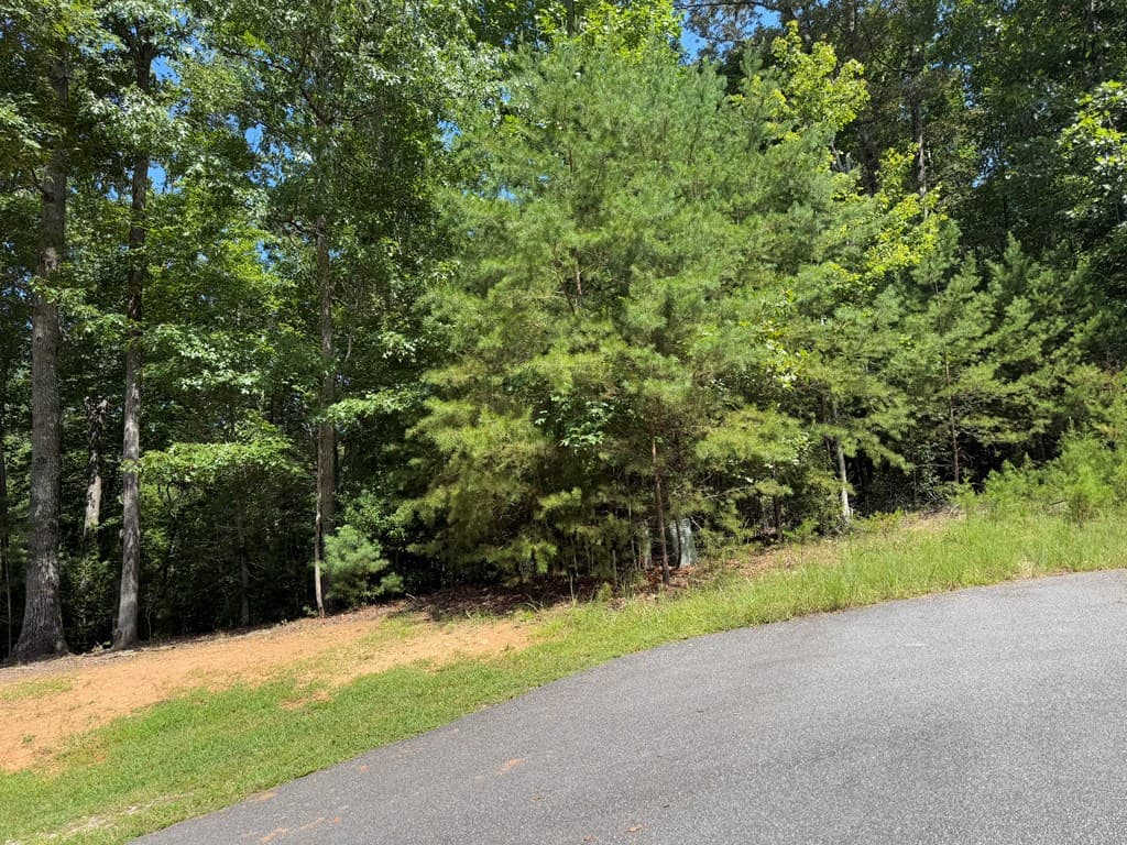 Lot 106 Asheland Cove, Young Harris GA 30582 - Photo