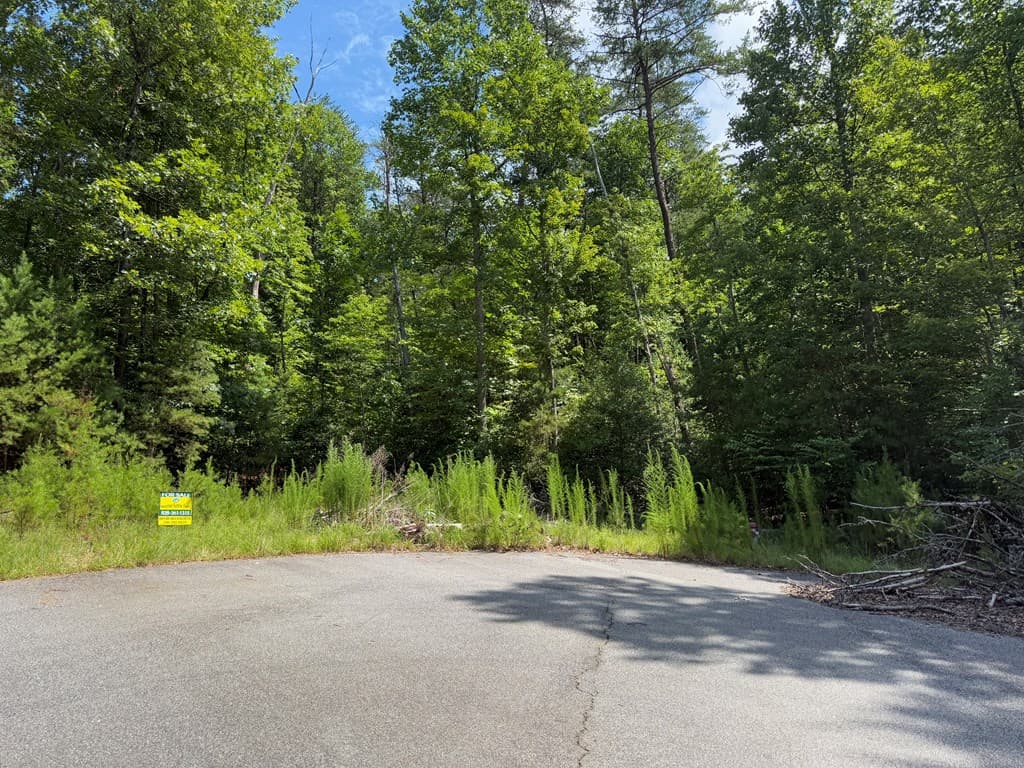 Lot 106 Asheland Cove, Young Harris GA 30582 - Photo