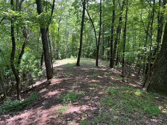 Lot 11 Laurel Mountain Road, Brasstown NC 28904 - Photo