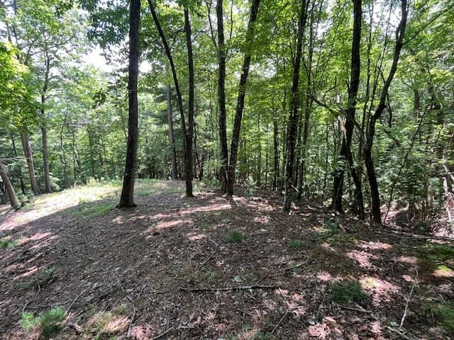 Lot 11 Laurel Mountain Road, Brasstown NC 28904 - Photo