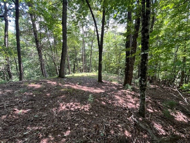Lot 11 Laurel Mountain Road, Brasstown NC 28904 - Photo
