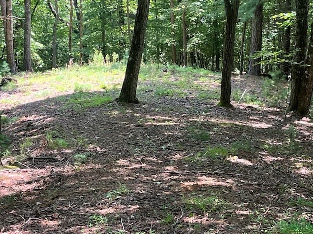 Lot 11 Laurel Mountain Road, Brasstown NC 28904 - Photo