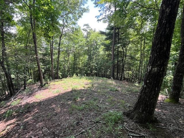 Lot 11 Laurel Mountain Road, Brasstown NC 28904 - Primary photo