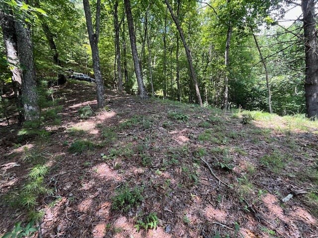 Lot 11 Laurel Mountain Road, Brasstown NC 28904 - Photo